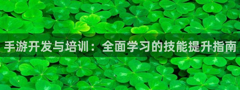 巅峰国际首页：手游开发与培训：全面学习的技能提升指南
