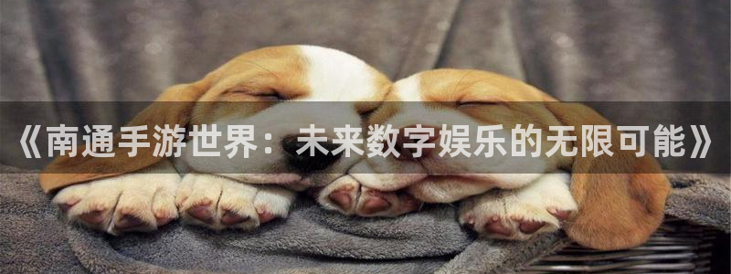 巅峰国际平台：《南通手游世界：未来数字娱乐的无限可能》