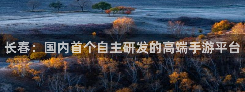 巅峰国际app：长春：国内首个自主研发的高端手游平台