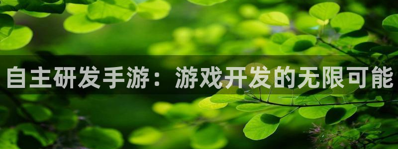 巅峰国际注册：自主研发手游：游戏开发的无限可能