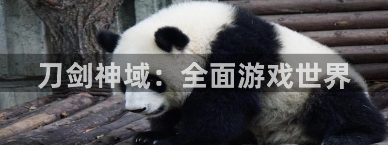 巅峰国际官网：刀剑神域：全面游戏世界