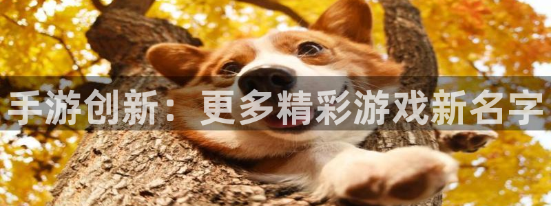 巅峰国际app：手游创新：更多精彩游戏新名字