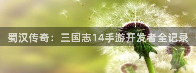 巅峰国际app：蜀汉传奇：三国志14手游开发者全记录