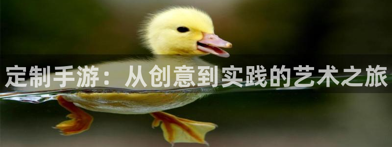 巅峰国际下载：定制手游：从创意到实践的艺术之旅