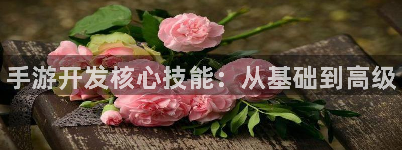巅峰国际注册：手游开发核心技能：从基础到高级