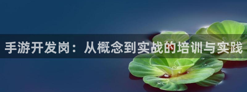 巅峰国际注册：手游开发岗：从概念到实战的培训与实践