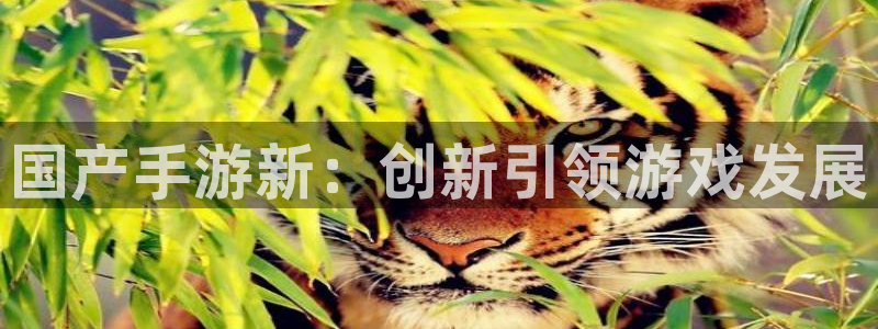 巅峰国际登陆：国产手游新：创新引领游戏发展