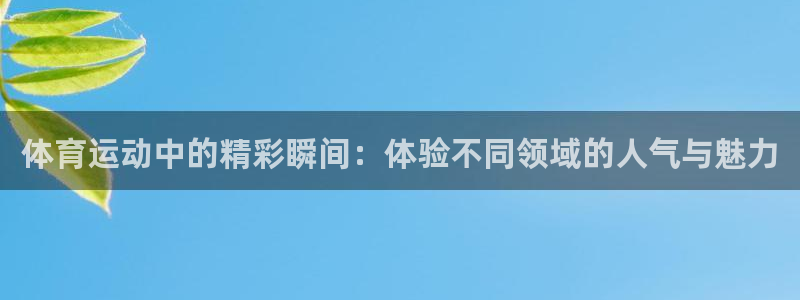 xc体育app官方网站：体育运动中的精彩瞬间：体验不同领域的人气与魅力