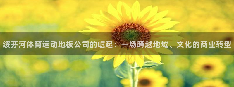 xc体育：绥芬河体育运动地板公司的崛起：一场跨越地域、文化的商业转型