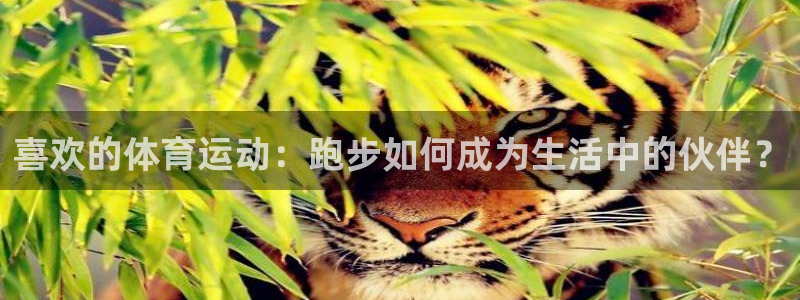 xc体育：喜欢的体育运动：跑步如何成为生活中的伙伴？