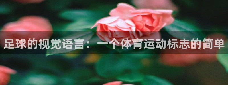 xc体育app官方网站：足球的视觉语言：一个体育运动标志的简单