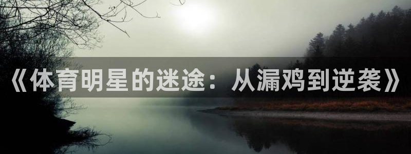 xc体育app官方网站：《体育明星的迷途：从漏鸡到逆袭》