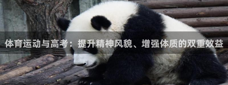 xc体育：体育运动与高考：提升精神风貌、增强体质的双重效益