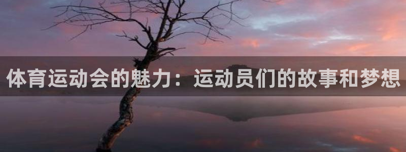 xc体育app官方网站：体育运动会的魅力：运动员们的故事和梦想
