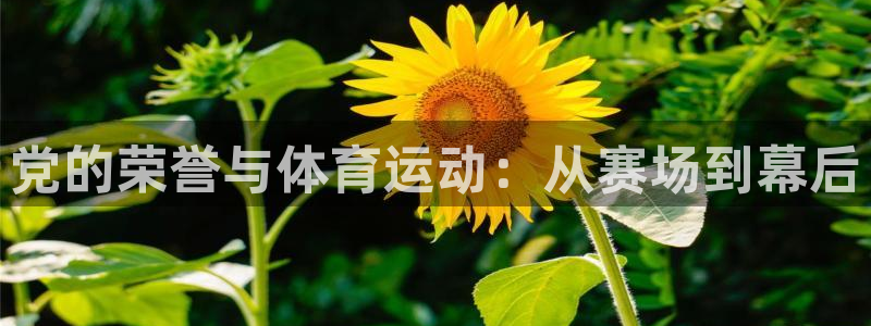 xc体育：党的荣誉与体育运动：从赛场到幕后